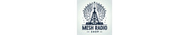 Mesh Radio Shop